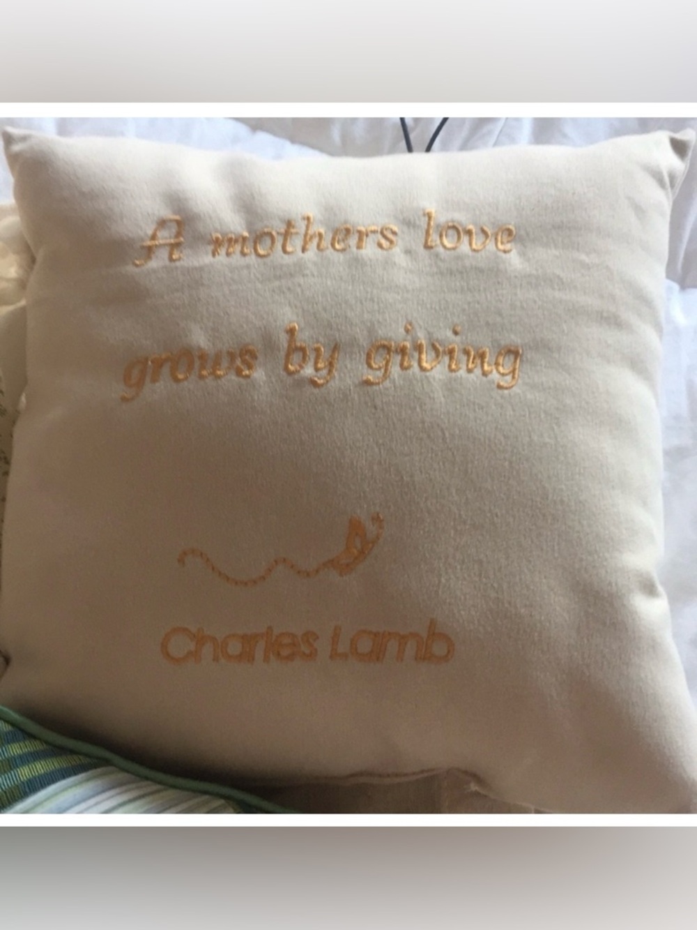pillow & vase Mother’s Day gift 🎁